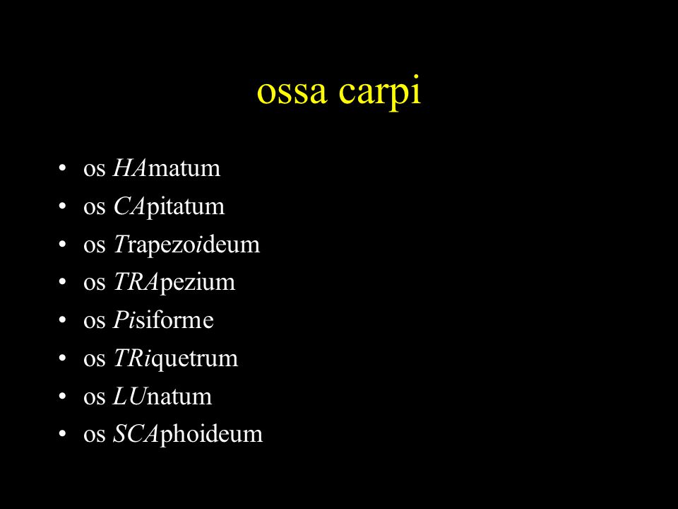 ossa carpi os HAmatum os CApitatum os Trapezoideum os TRApezium