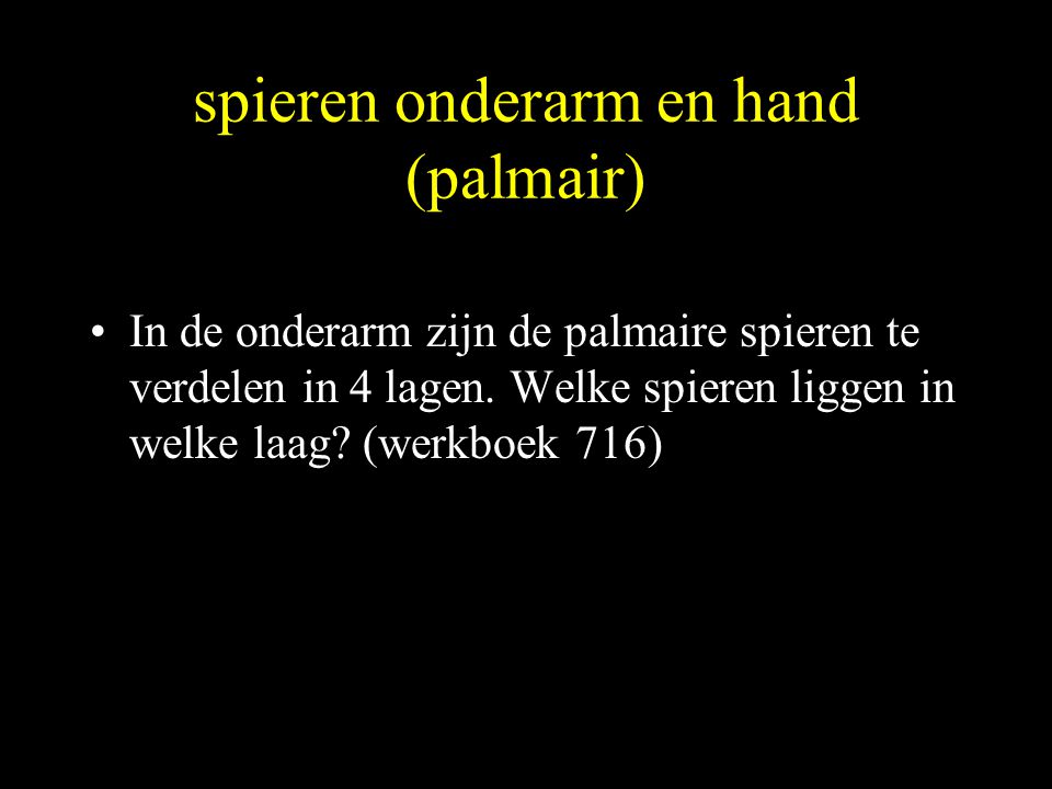 spieren onderarm en hand (palmair)