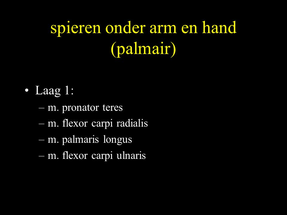 spieren onder arm en hand (palmair)