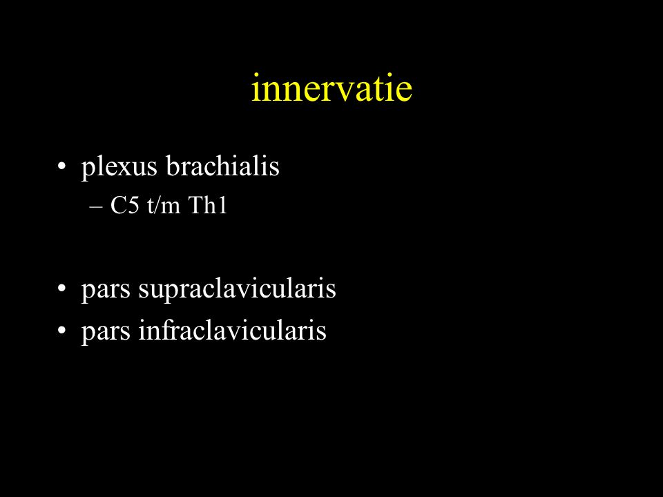 innervatie plexus brachialis pars supraclavicularis