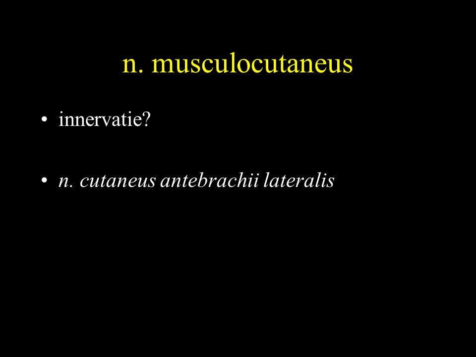 n. musculocutaneus innervatie n. cutaneus antebrachii lateralis