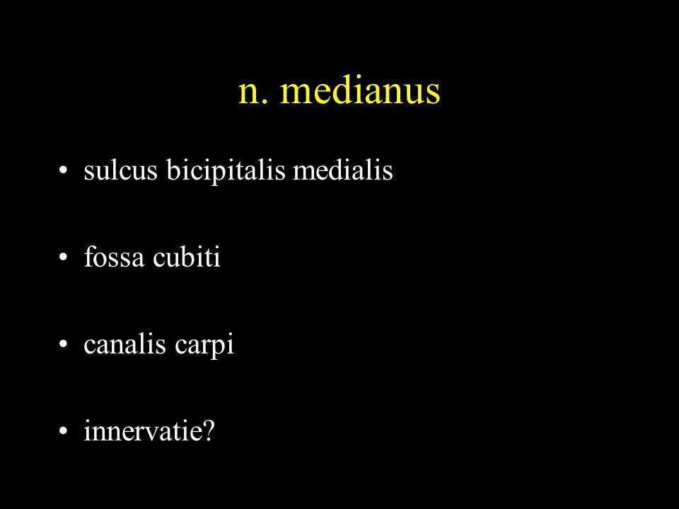 n. medianus sulcus bicipitalis medialis fossa cubiti canalis carpi