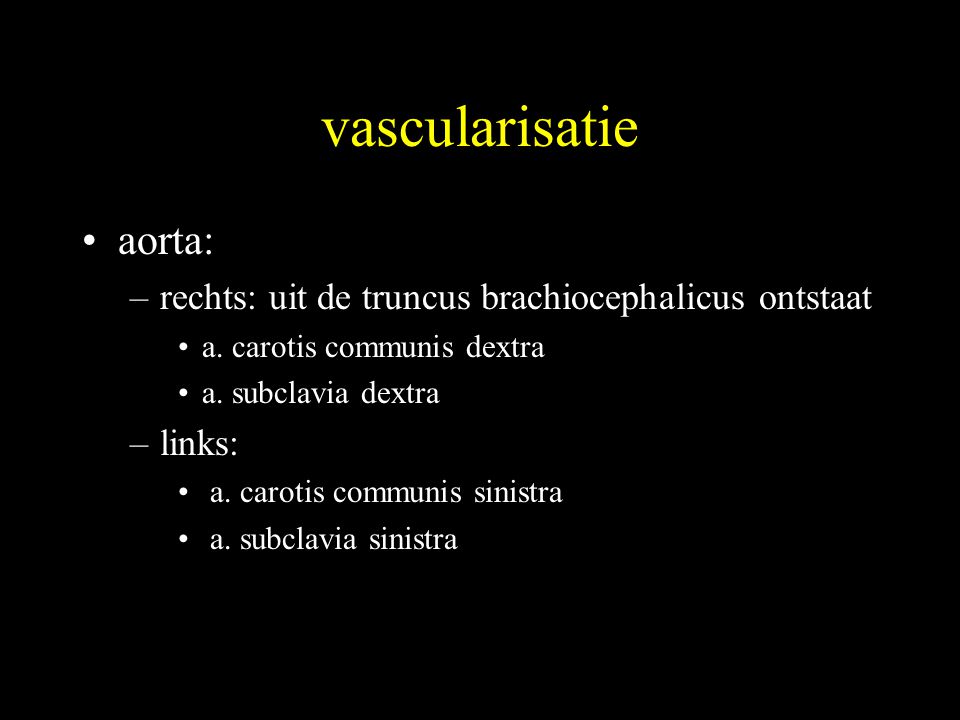 vascularisatie aorta: