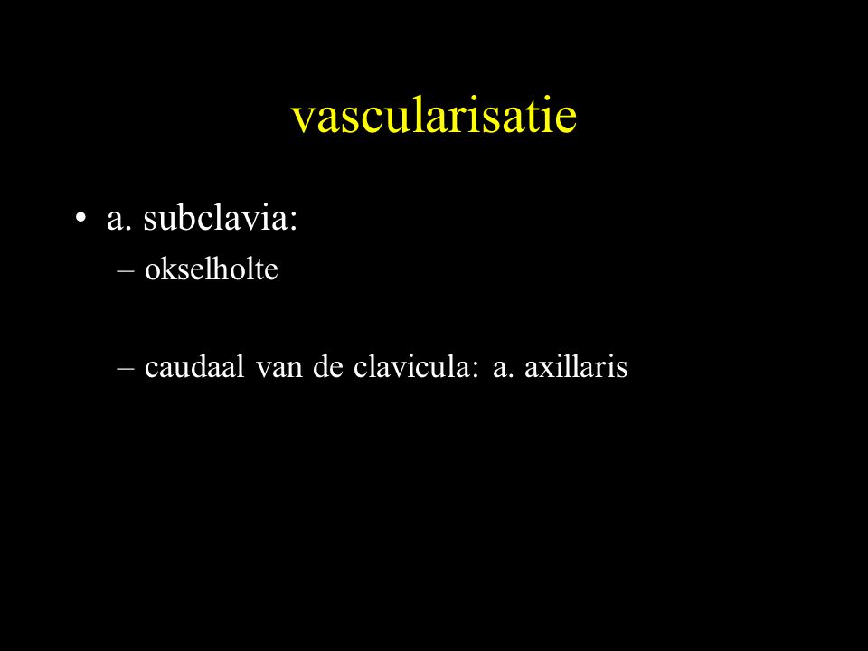vascularisatie a. subclavia: okselholte