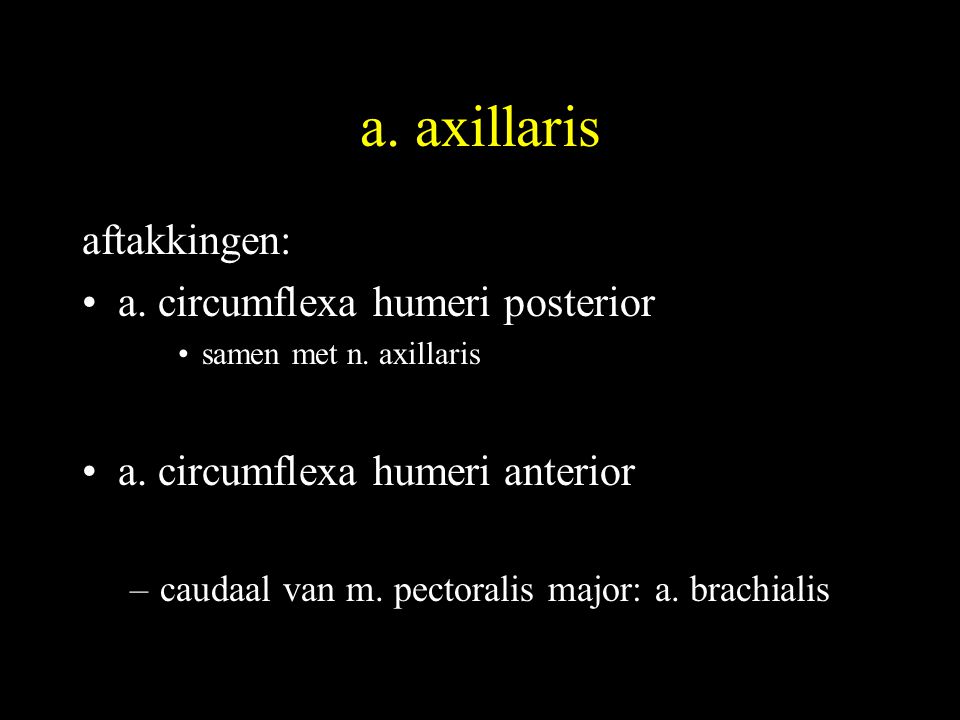 a. axillaris aftakkingen: a. circumflexa humeri posterior