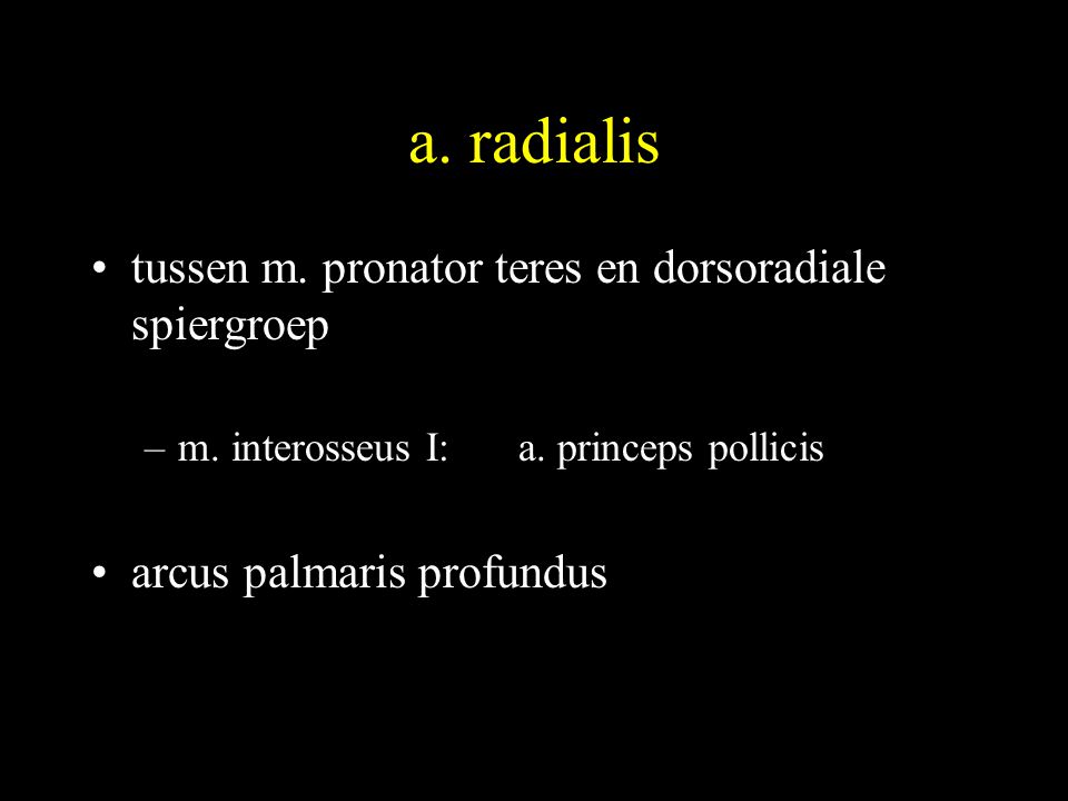 a. radialis tussen m. pronator teres en dorsoradiale spiergroep