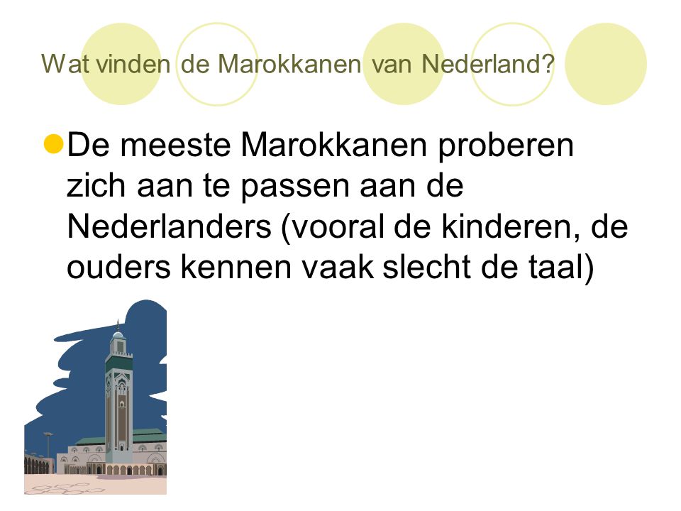 Wat vinden de Marokkanen van Nederland