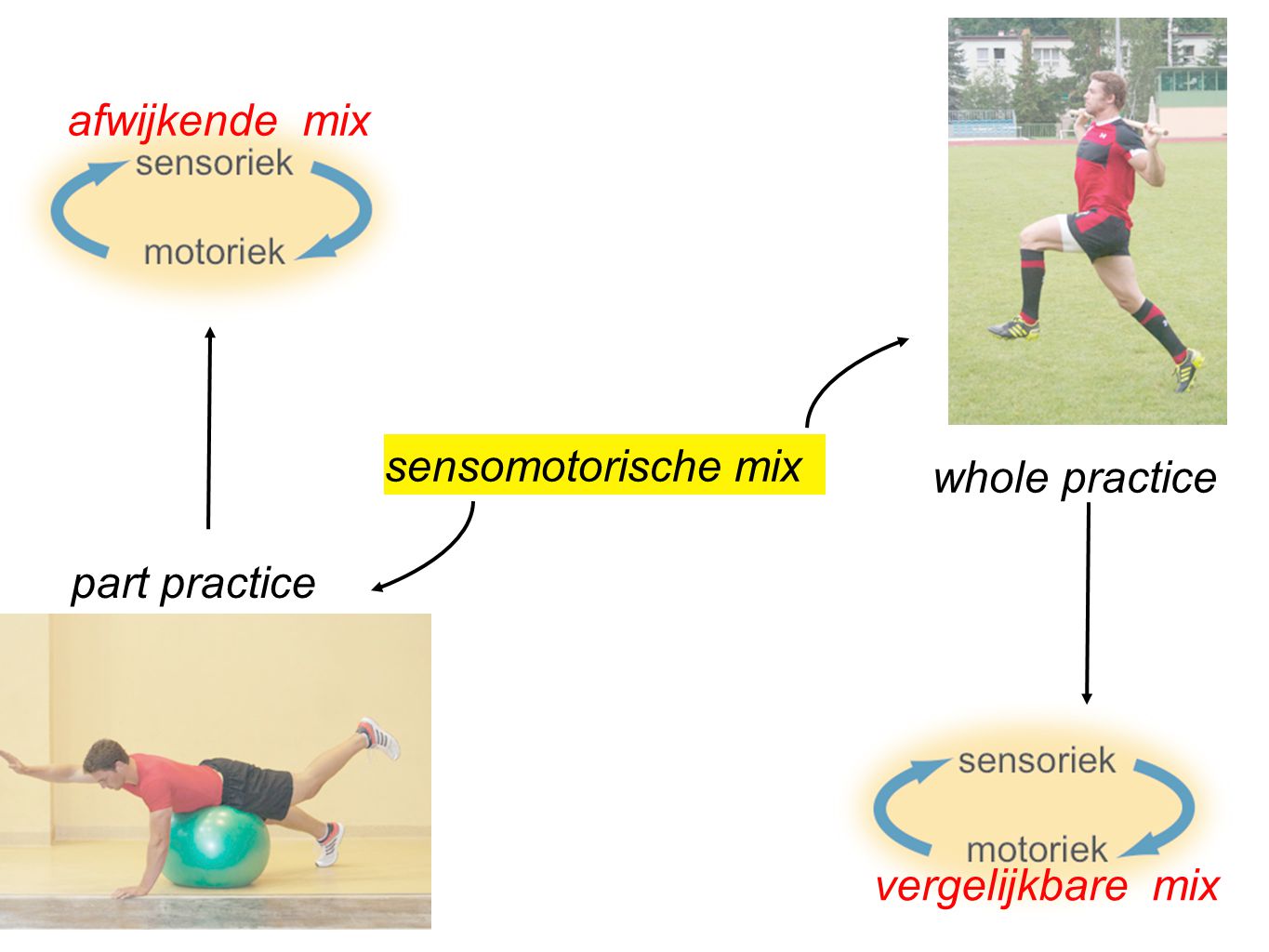 afwijkende mix sensomotorische mix whole practice part practice vergelijkbare mix