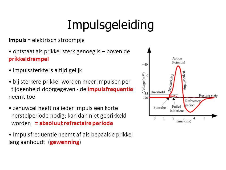 Impulsgeleiding Impuls = elektrisch stroompje