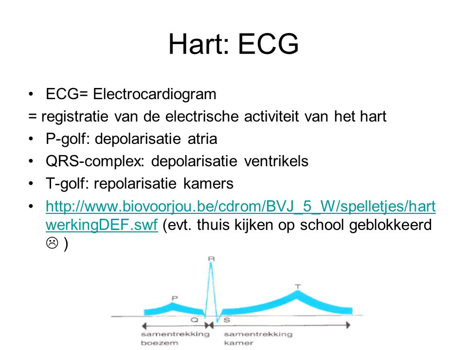 Hart: ECG ECG= Electrocardiogram