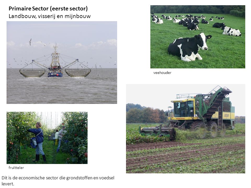 Primaire Sector (eerste sector) Landbouw, visserij en mijnbouw