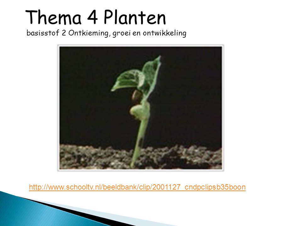 Thema 4 Planten basisstof 2 Ontkieming, groei en ontwikkeling