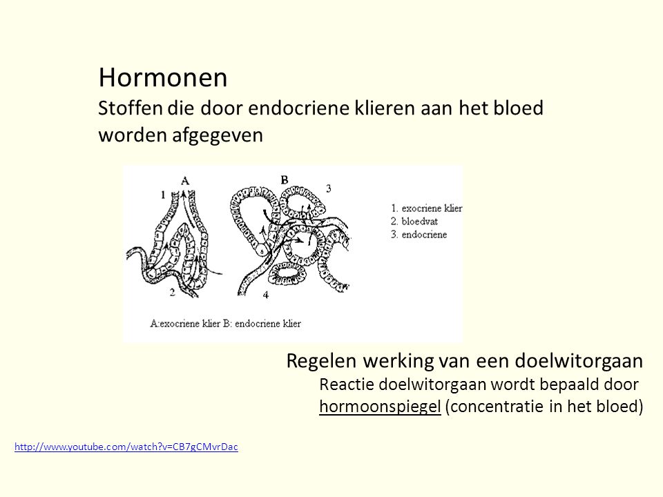 Hormonen Stoffen die door endocriene klieren aan het bloed worden afgegeven. Regelen werking van een doelwitorgaan.