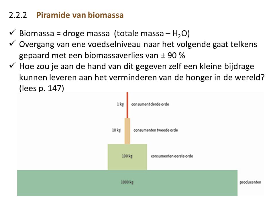 2.2.2 Piramide van biomassa Biomassa = droge massa (totale massa – H2O)