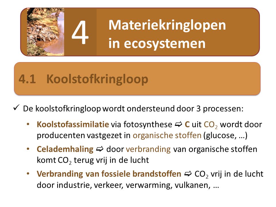 4 Materiekringlopen in ecosystemen 4.1 Koolstofkringloop