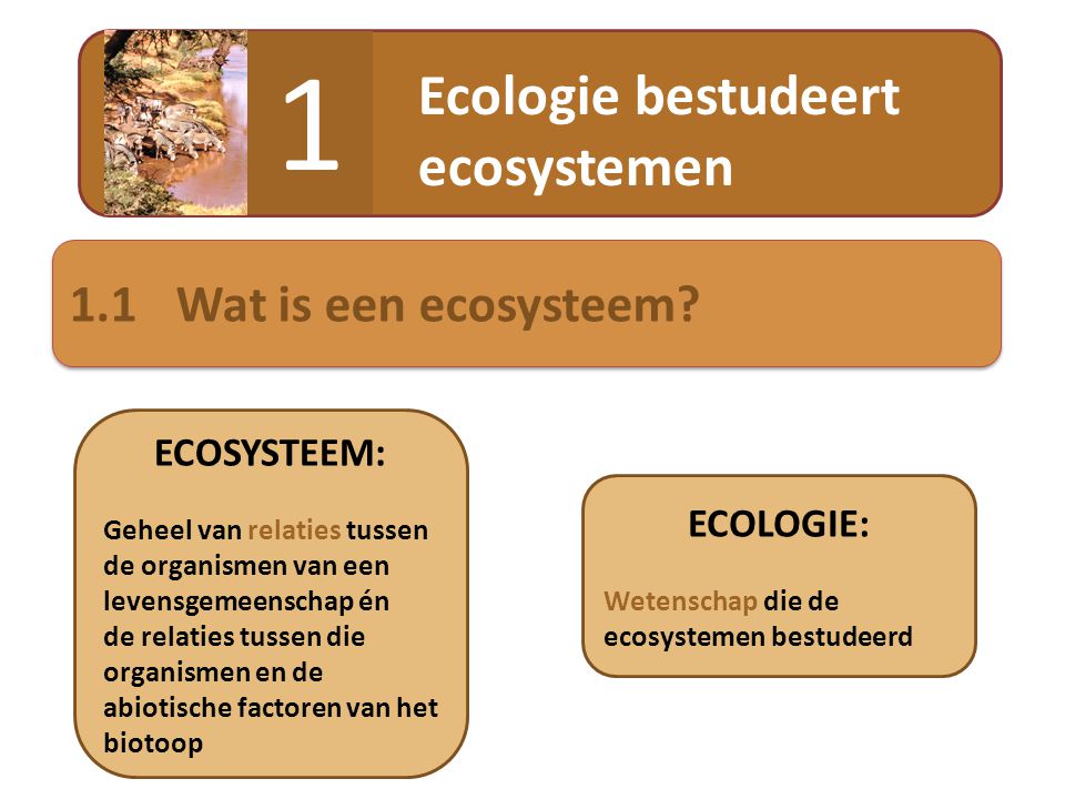 1 Ecologie bestudeert ecosystemen 1.1 Wat is een ecosysteem