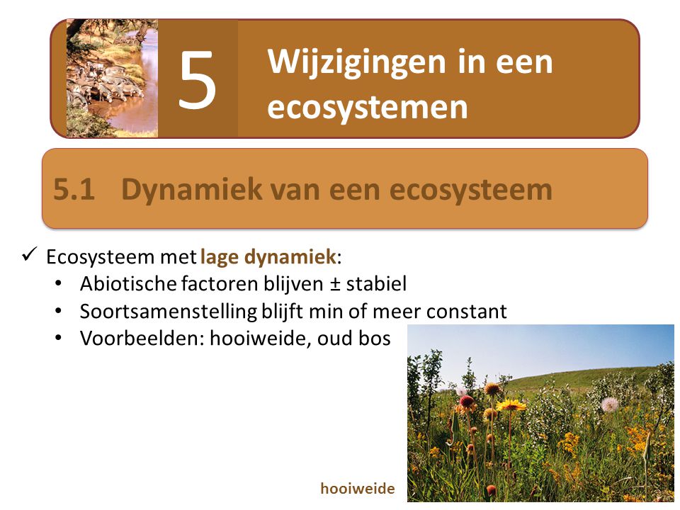 5 Wijzigingen in een ecosystemen 5.1 Dynamiek van een ecosysteem