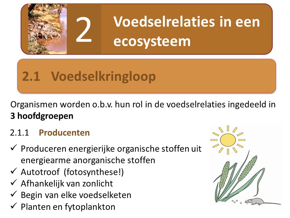 2 Voedselrelaties in een ecosysteem 2.1 Voedselkringloop