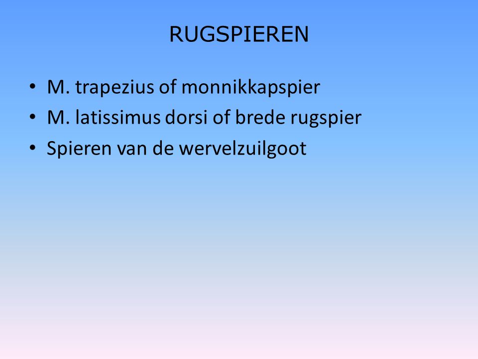 RUGSPIEREN M. trapezius of monnikkapspier. M. latissimus dorsi of brede rugspier.