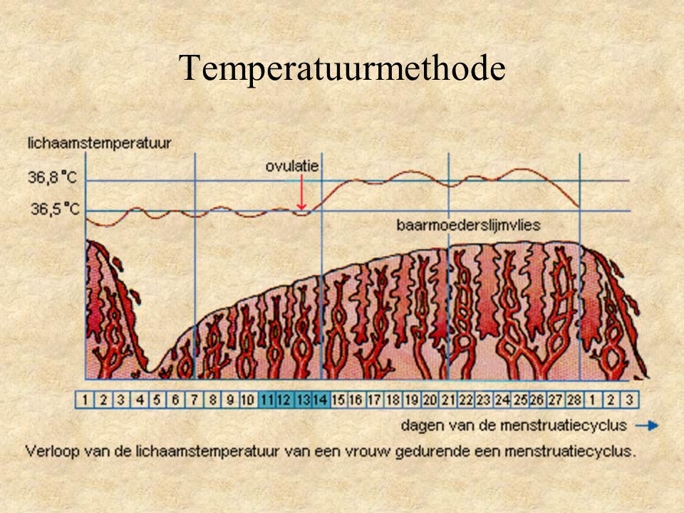 Temperatuurmethode