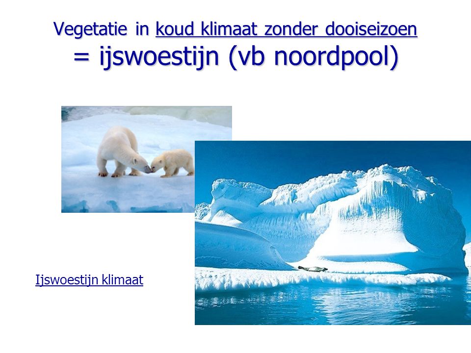 Vegetatie in koud klimaat zonder dooiseizoen = ijswoestijn (vb noordpool)