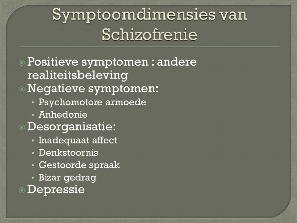 Symptoomdimensies van Schizofrenie