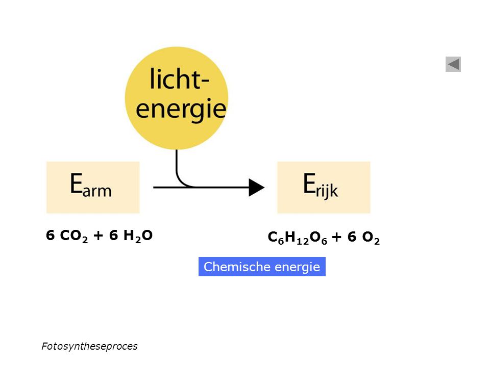 6 CO2 + 6 H2O C6H12O6 + 6 O2 Chemische energie Fotosyntheseproces