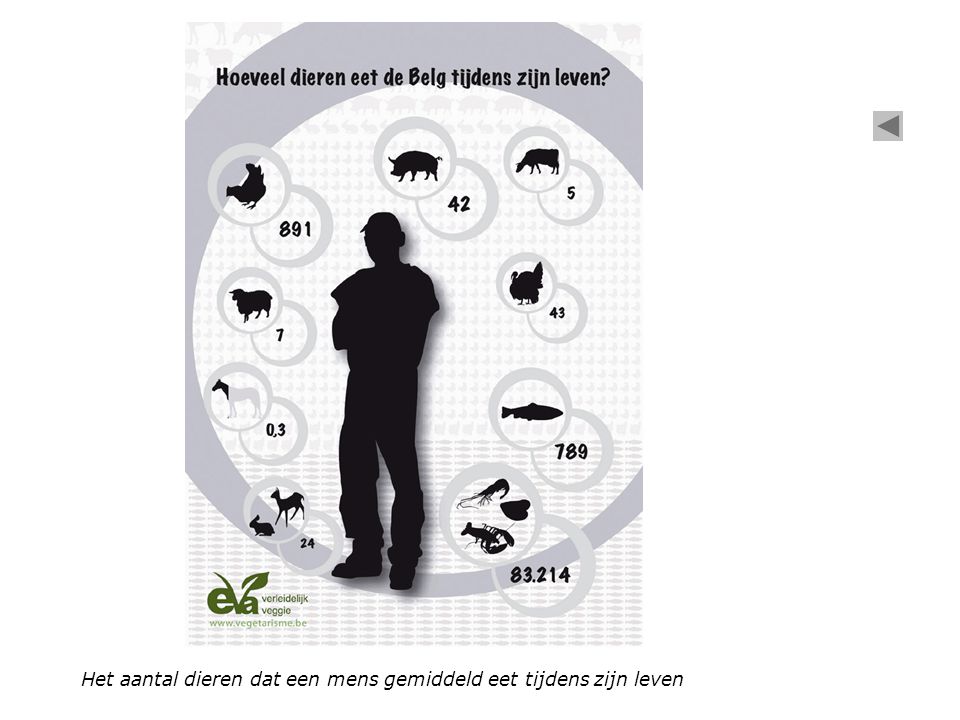 Het aantal dieren dat een mens gemiddeld eet tijdens zijn leven