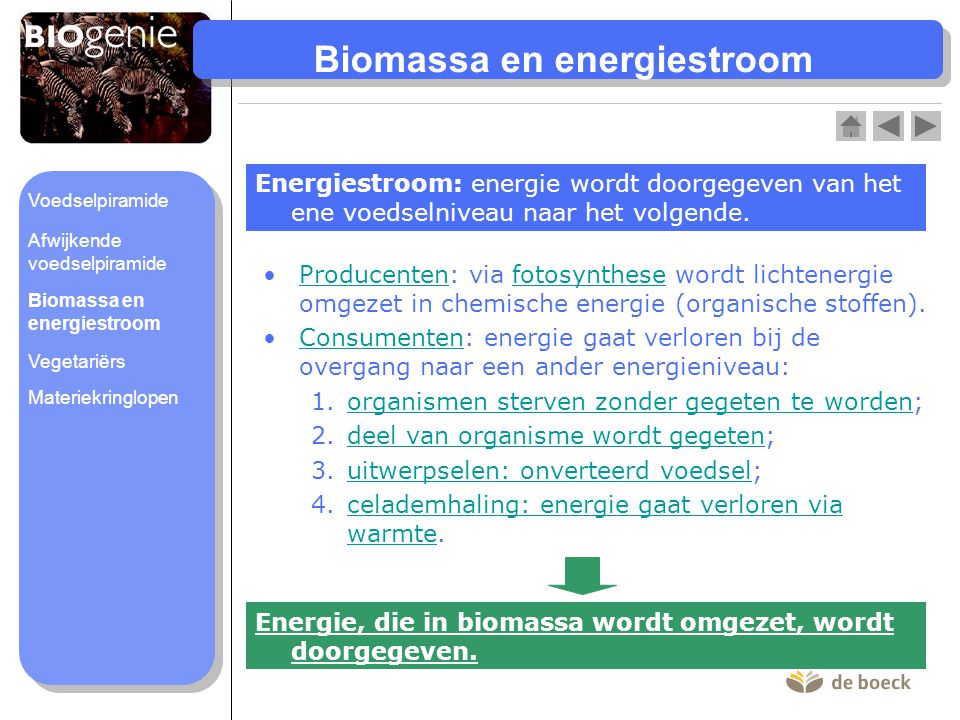 Biomassa en energiestroom