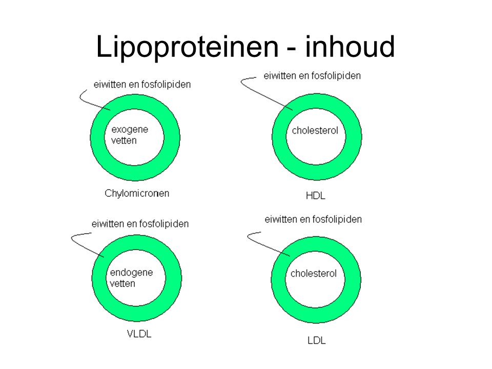 Lipoproteinen - inhoud