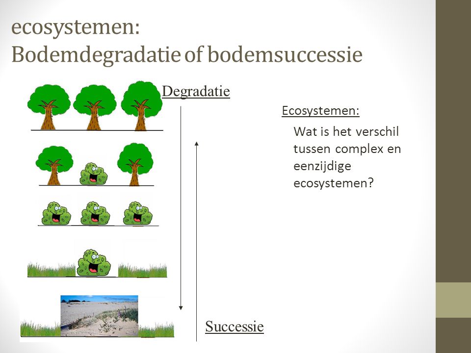 ecosystemen: Bodemdegradatie of bodemsuccessie