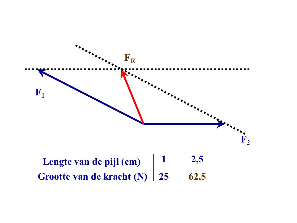 FR F1 F2 Grootte van de kracht (N) Lengte van de pijl (cm) ,5 62,5