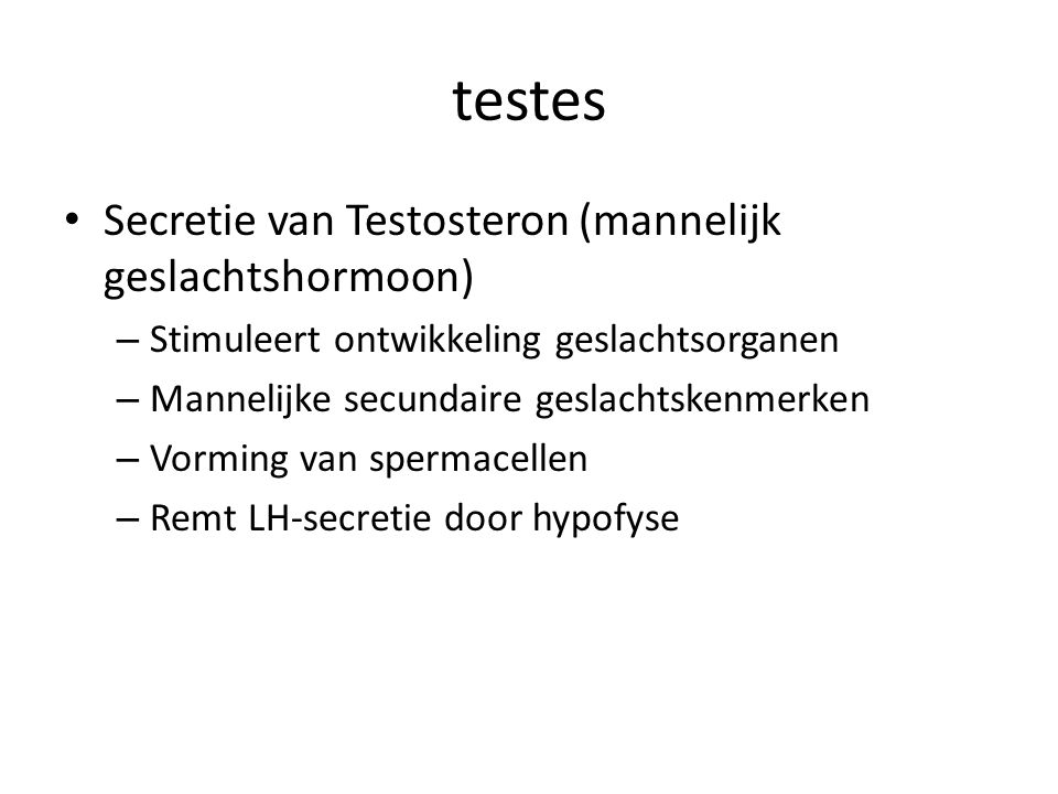 testes Secretie van Testosteron (mannelijk geslachtshormoon)