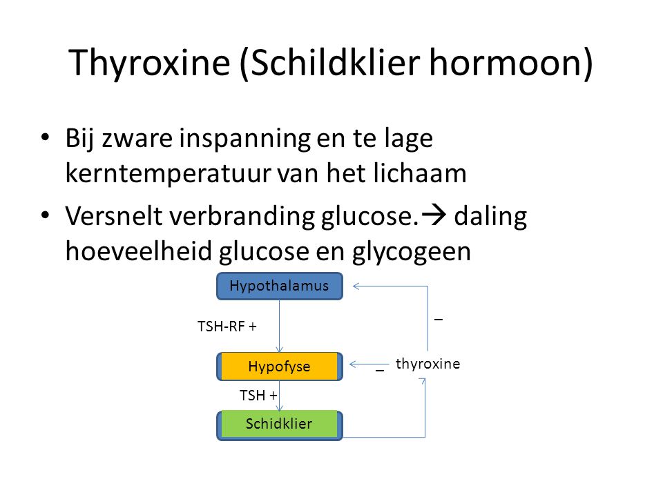Thyroxine (Schildklier hormoon)
