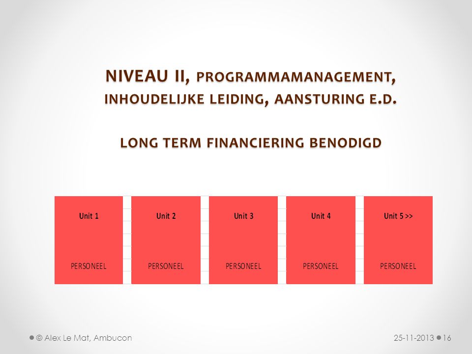NIVEAU II, programmamanagement, inhoudelijke leiding, aansturing e. d