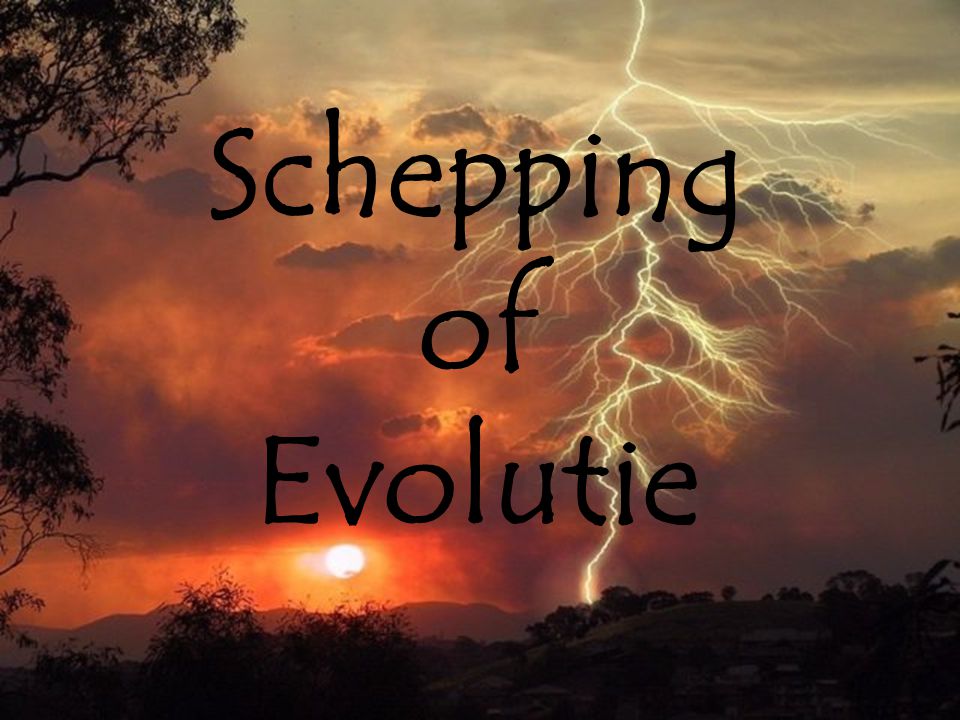 Schepping of Evolutie