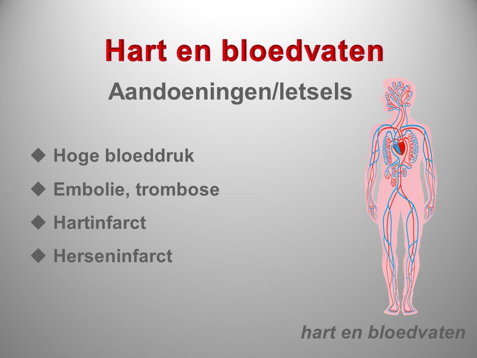 Hart en bloedvaten Aandoeningen/letsels Hoge bloeddruk