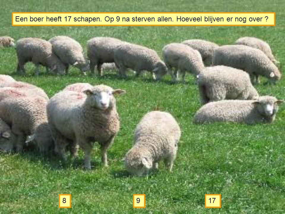 Een boer heeft 17 schapen. Op 9 na sterven allen