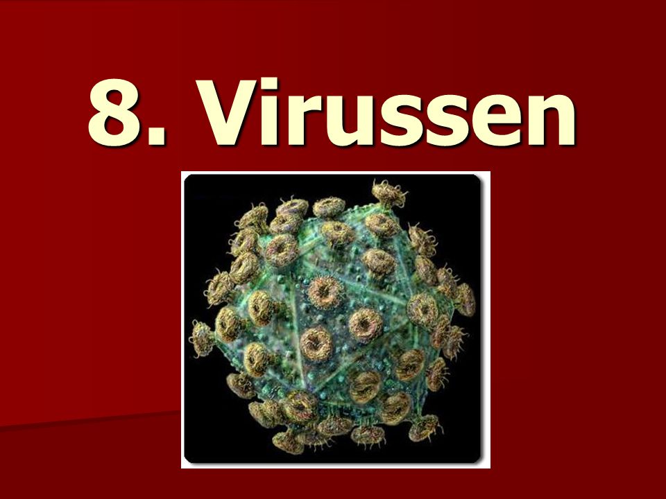 8. Virussen