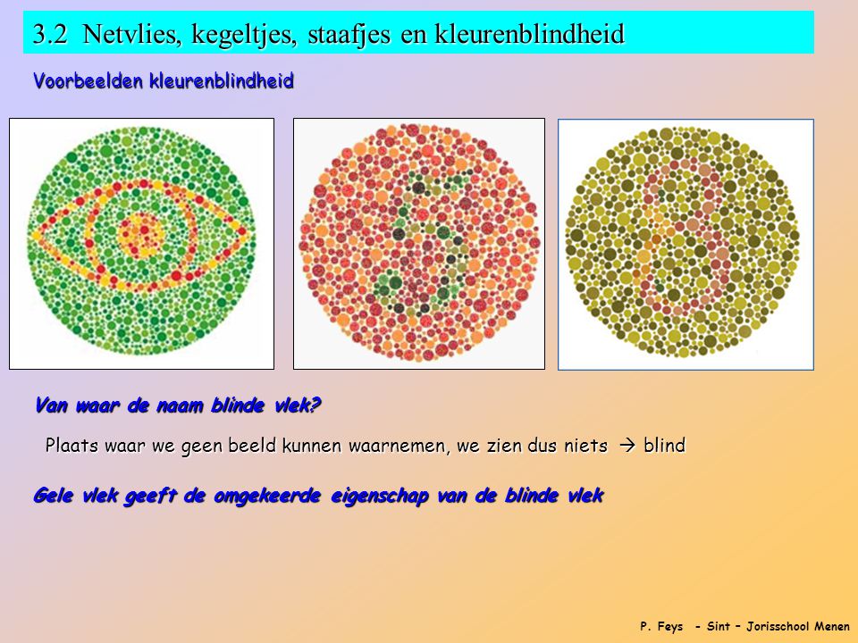 3.2 Netvlies, kegeltjes, staafjes en kleurenblindheid
