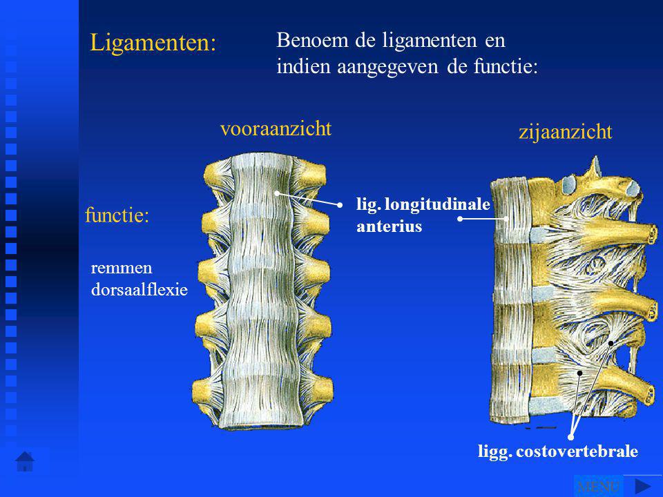 Ligamenten: Benoem de ligamenten en indien aangegeven de functie: