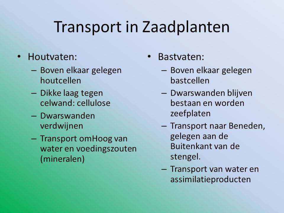 Transport in Zaadplanten