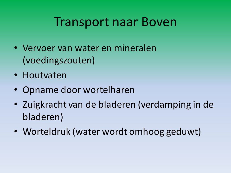 Transport naar Boven Vervoer van water en mineralen (voedingszouten)