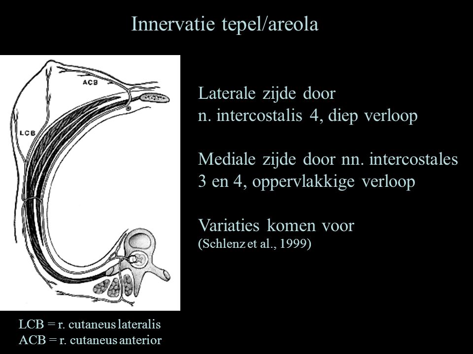Innervatie tepel/areola