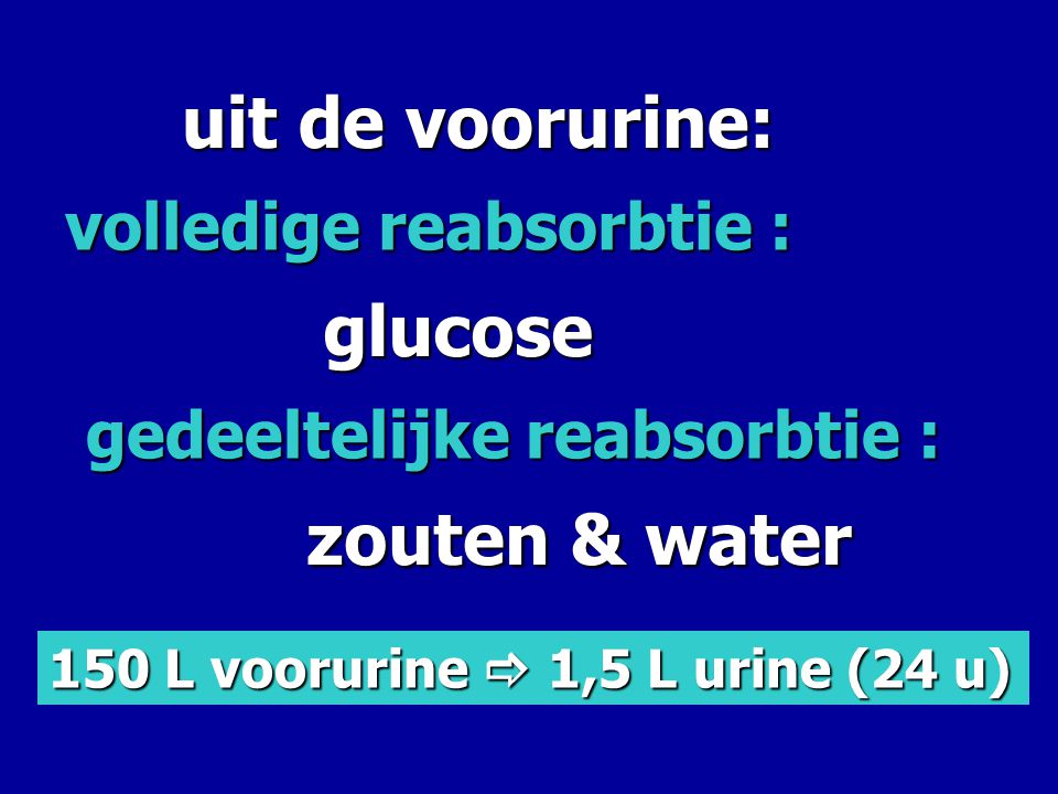 uit de voorurine: glucose zouten & water volledige reabsorbtie :