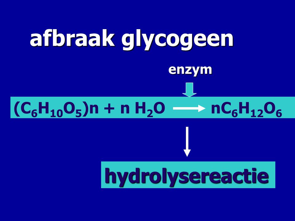afbraak glycogeen enzym (C6H10O5)n + n H2O nC6H12O6 hydrolysereactie