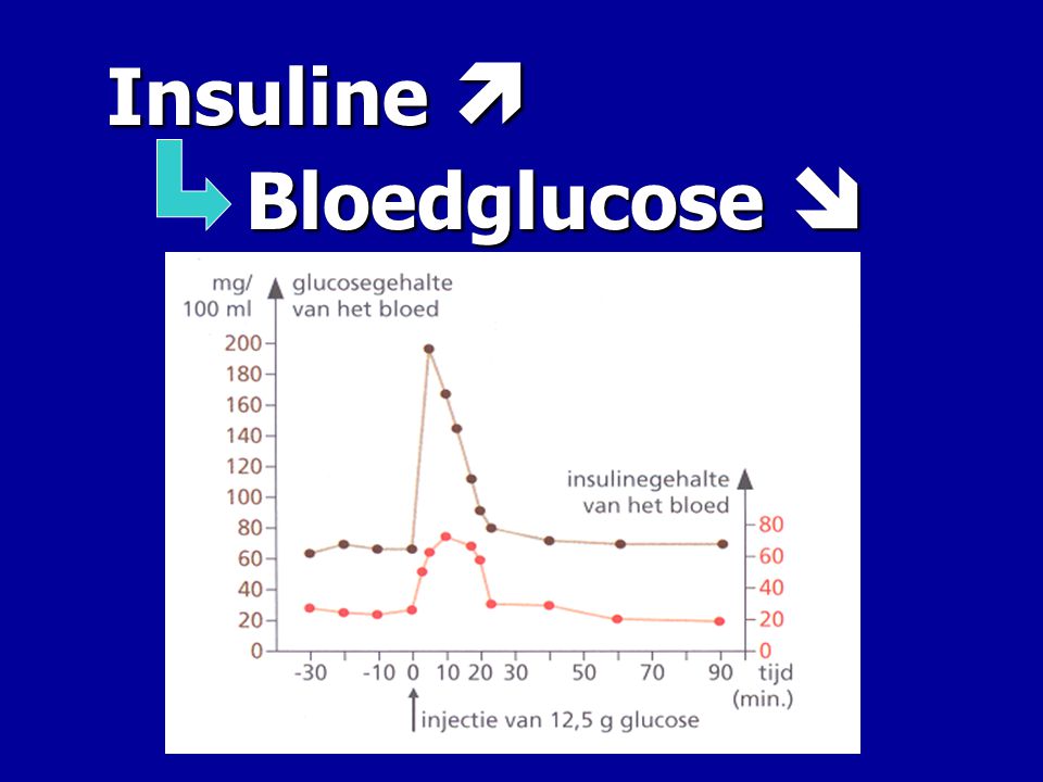 Insuline  Bloedglucose 