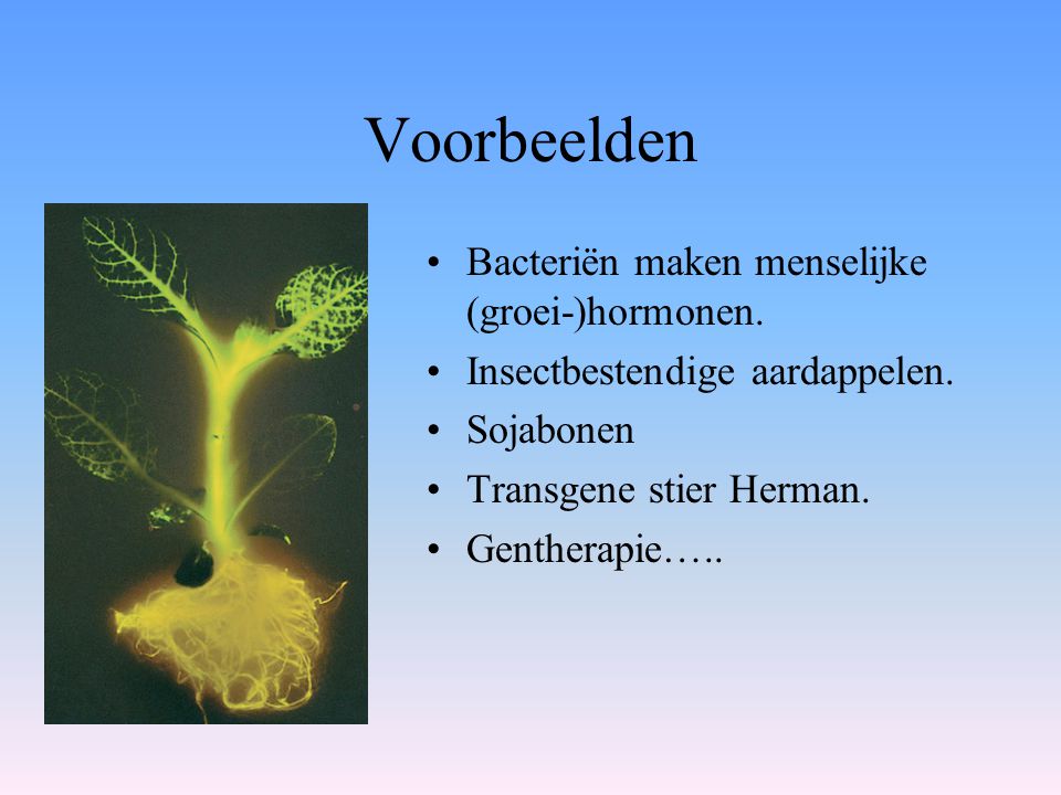 Voorbeelden Bacteriën maken menselijke (groei-)hormonen.