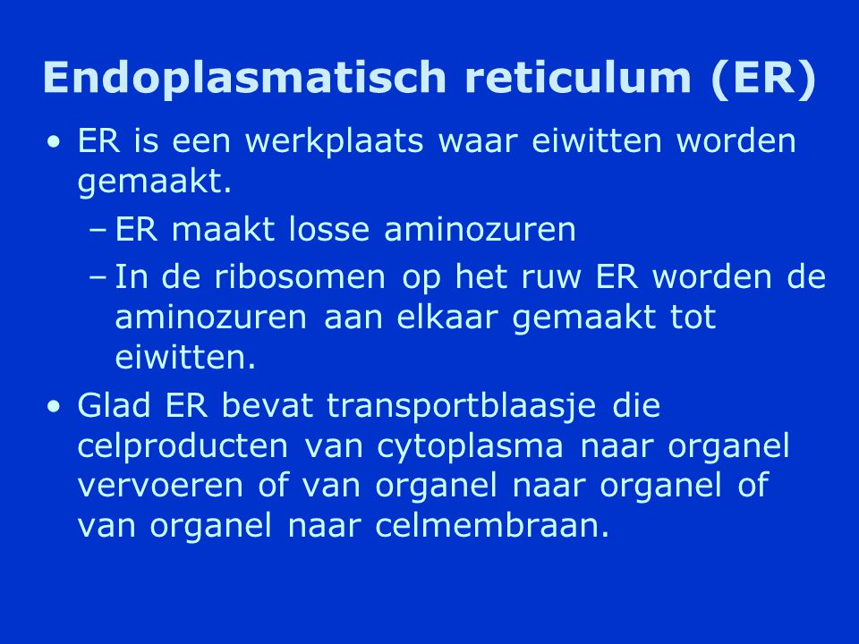 Endoplasmatisch reticulum (ER)