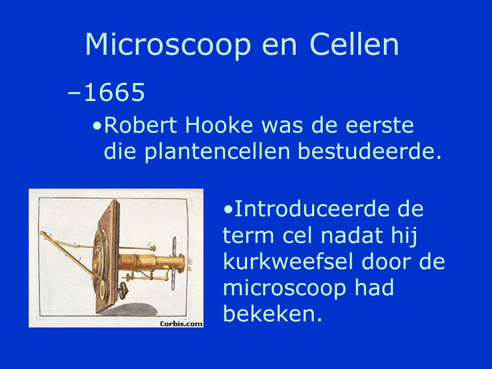 Microscoop en Cellen Robert Hooke was de eerste die plantencellen bestudeerde.